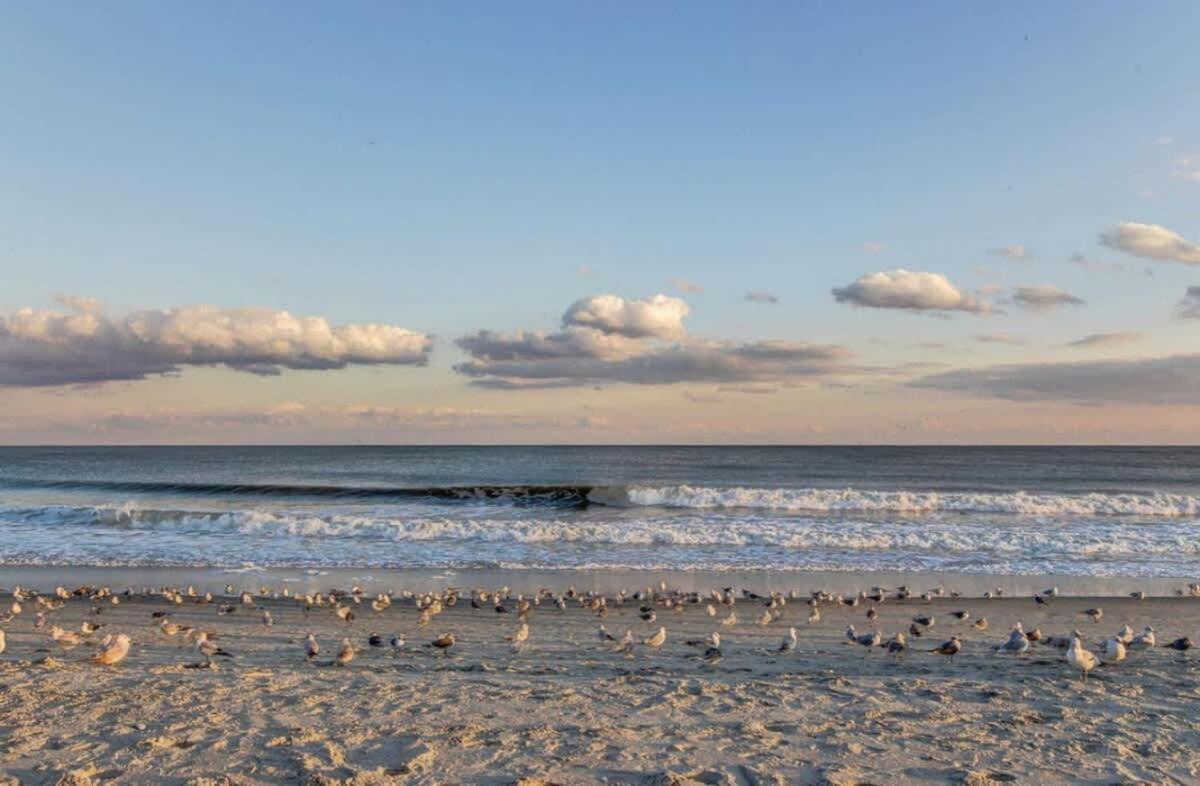 *Oceanfront*Tons Of Amenities*Compass Cove*S107 Villa Myrtle Beach Exterior photo